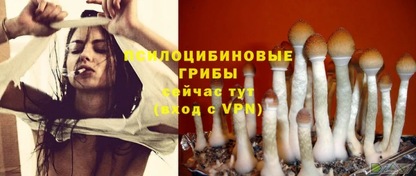 тгк Белокуриха